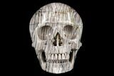Realistic, Polished Picasso Jasper Skull #116709-1
